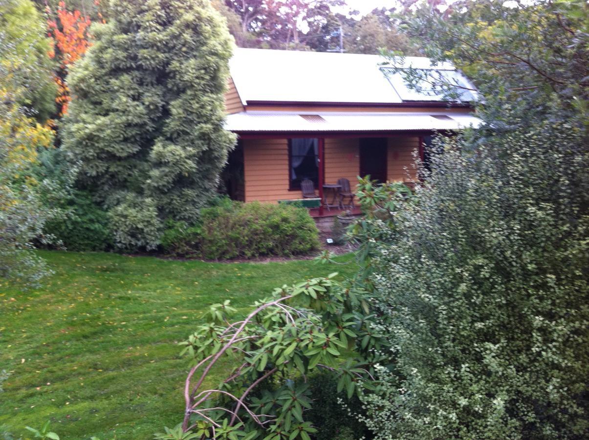 Lemonade Creek Cottages Lorne Exterior foto