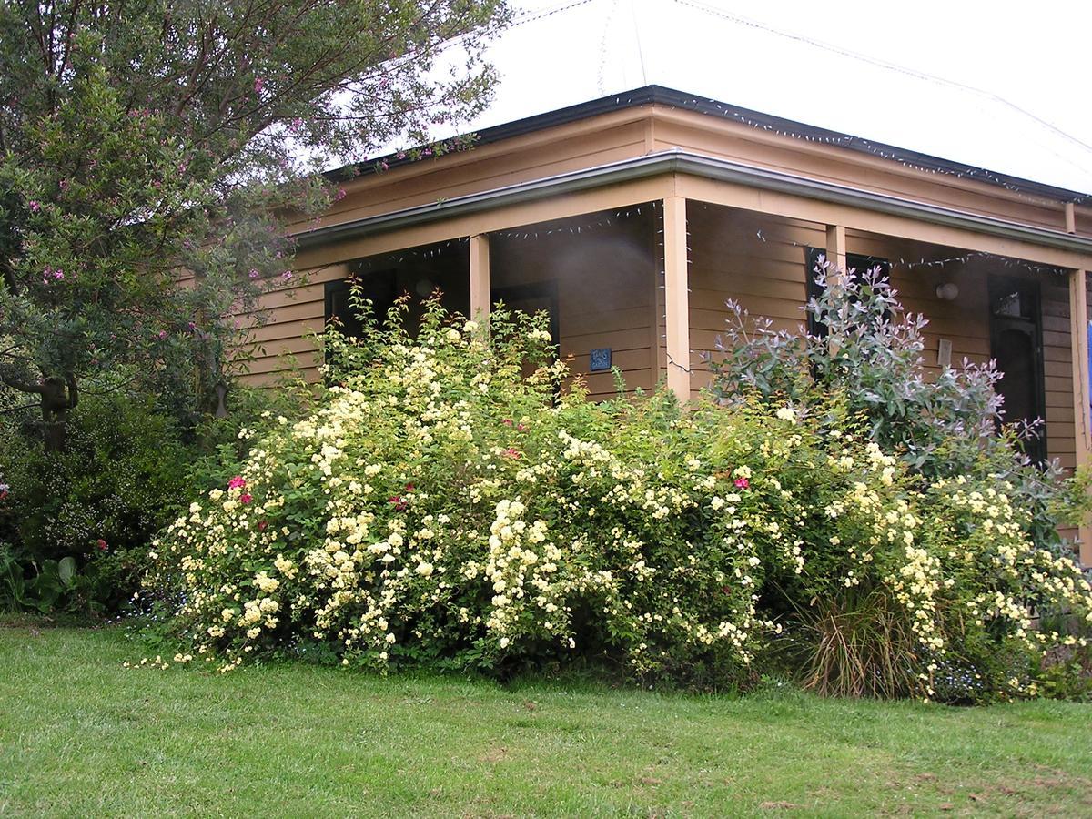 Lemonade Creek Cottages Lorne Exterior foto